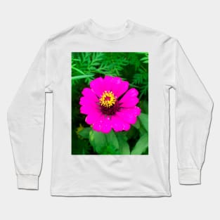 Blooming mature pink zinnia flower Long Sleeve T-Shirt